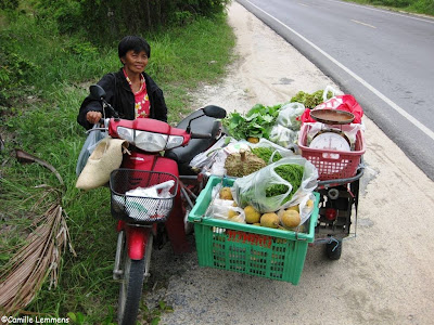 Food on Wheels, construction site delivery, front view