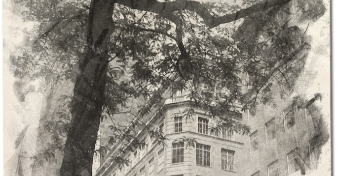 Toefl essay museum 05 picture