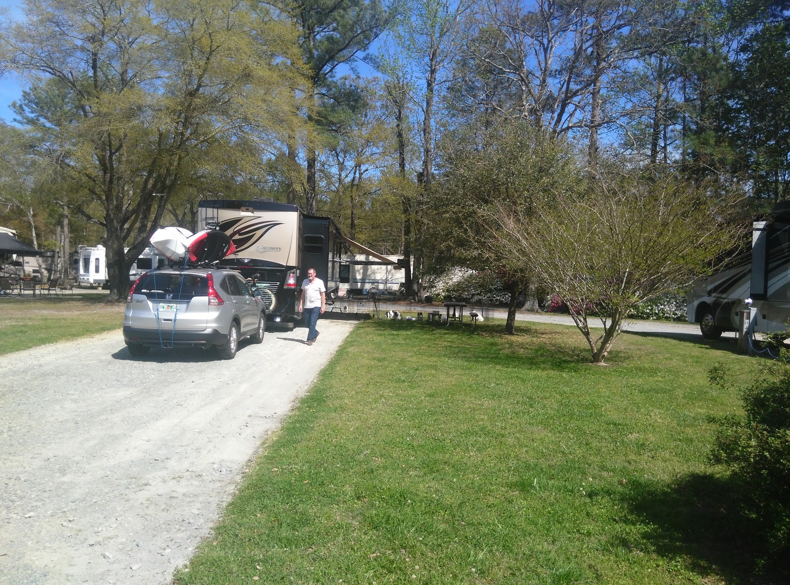 Retha's Campsite Reviews RVacation RV Park Selma, North Carolina