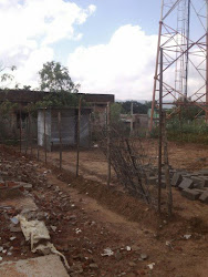 chicken organic range india coop farm coops poultry pasture omega egg side