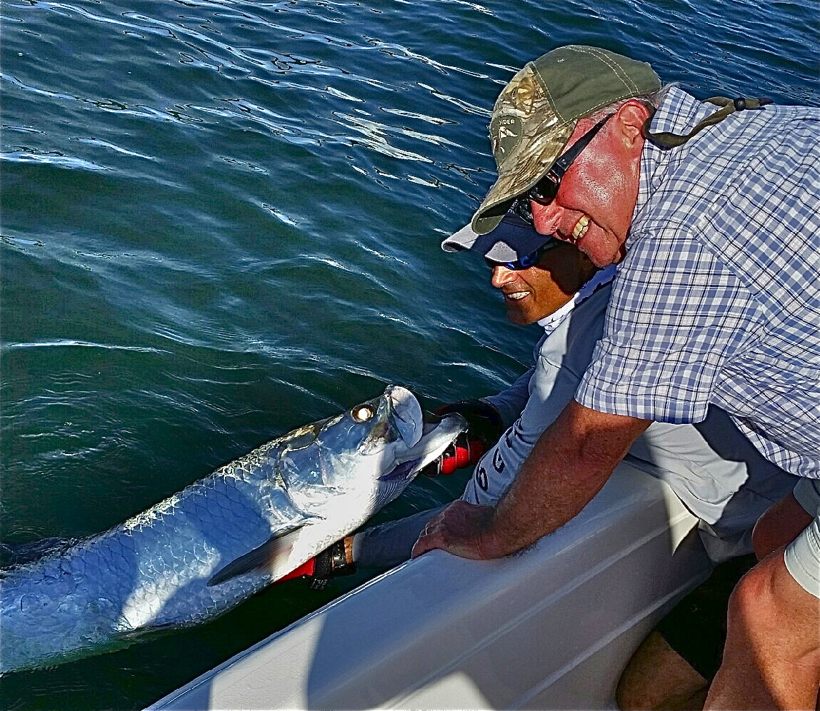 Tarpon Time