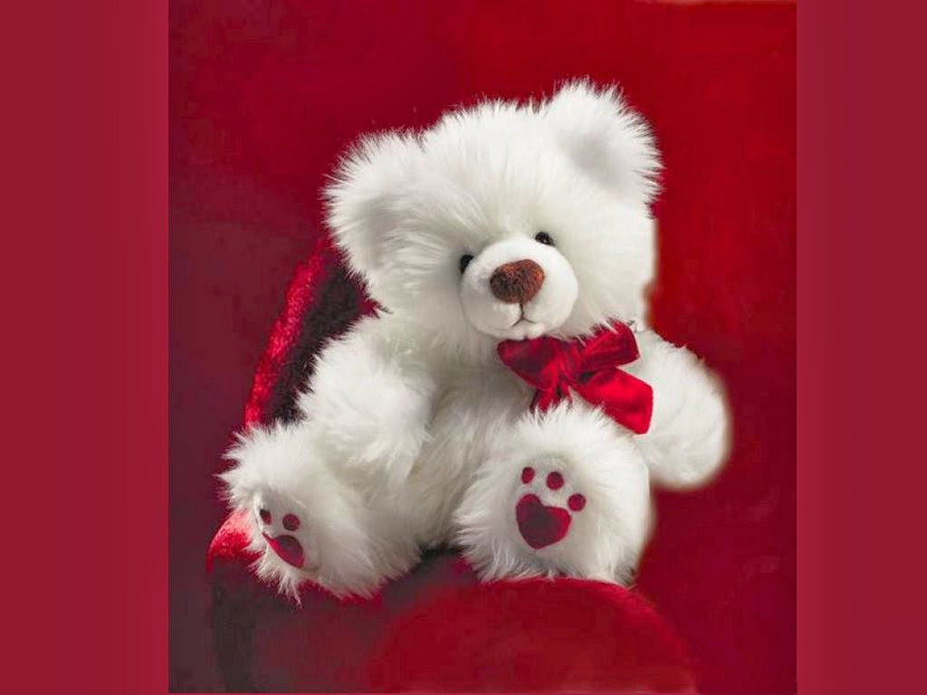 Teddy Bear New Wallpaper HD - Download Wallpapers HD