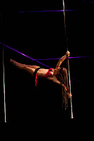 Pole Fitness