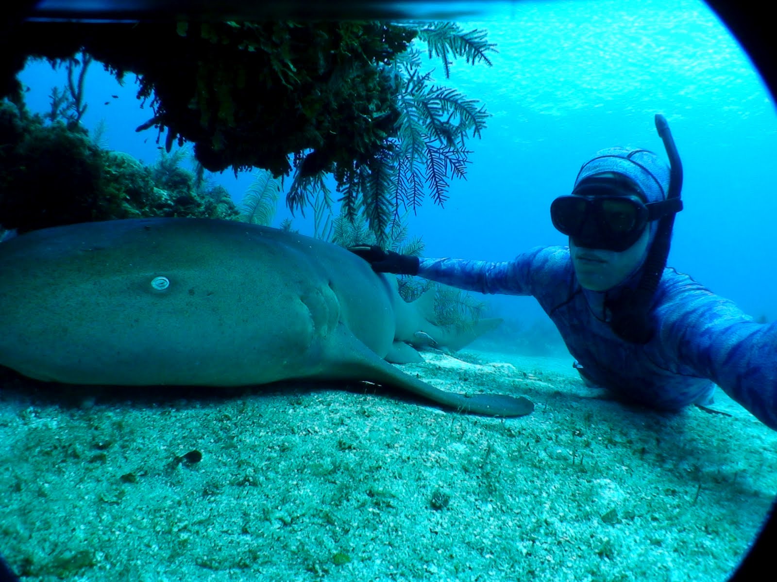 Salt Life Blog Bahamas Underwater World in Pictures