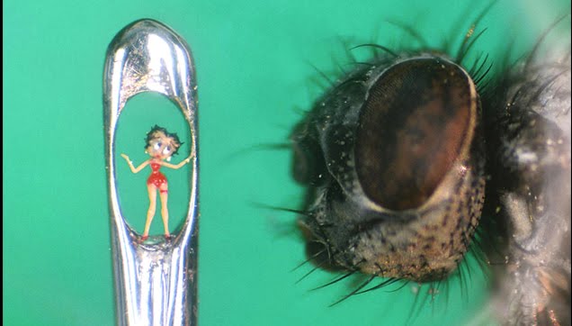 5 incredible smallest things and man made objects in the world