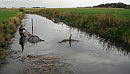 Foto cover Monitoring vismigratie bij 14 kunstwerken in het beheergebied van Wetterskip Fryslân