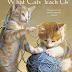 Download What Cats Teach Us 2017 Engagement Calendar PDF by Willow Creek Press (Calendar)