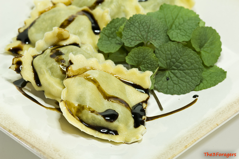 The 3 Foragers Foraging for Wild, Natural, Organic Food Garlic