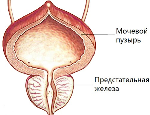 От боли в костях и суставах народные средства лечения