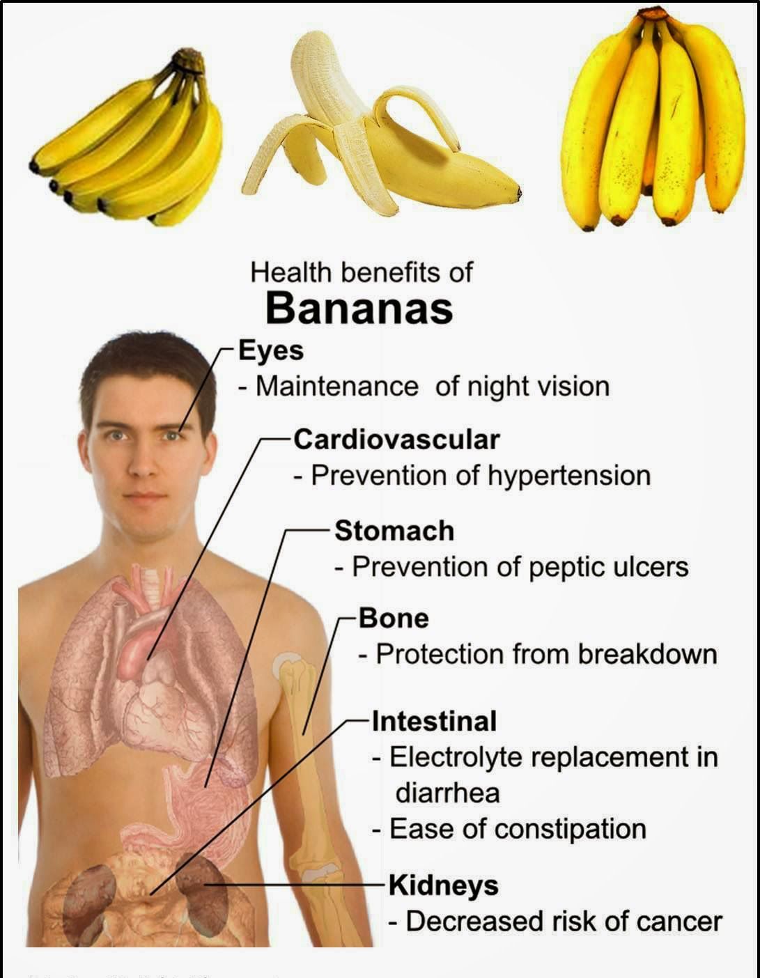 Бананы польза и вред для мужчин. Полезность банана для организма. Чем полезен банан. Банан польза для организма. Что полезного в бананах.