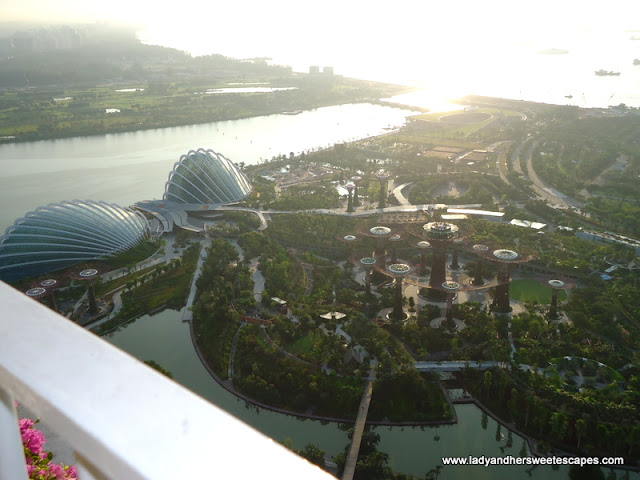 view of Gardens_by_the_Bay from Sky on 57 Singapore