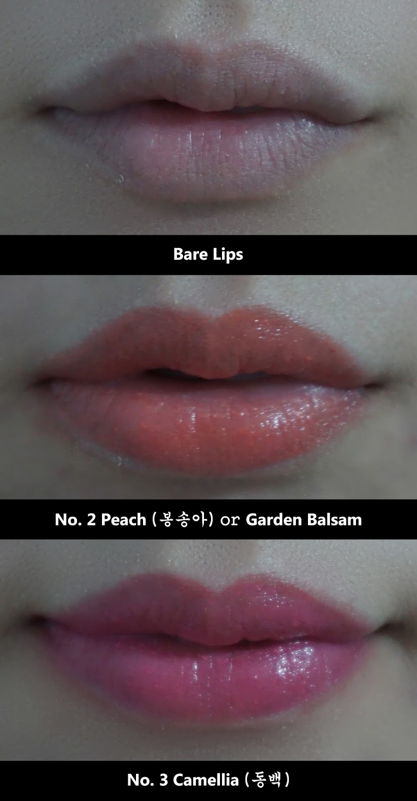 Chibi S Dark World Innisfree Eco Flower Tint Balm Garden