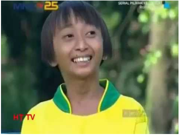 Biodata Pemain Ronaldowati