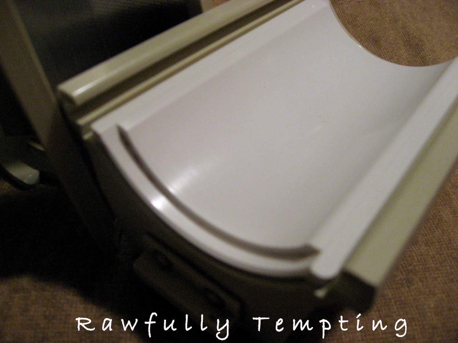 Rawfully Tempting™: My Champion - Mint Chocolate Chip Ice Cream