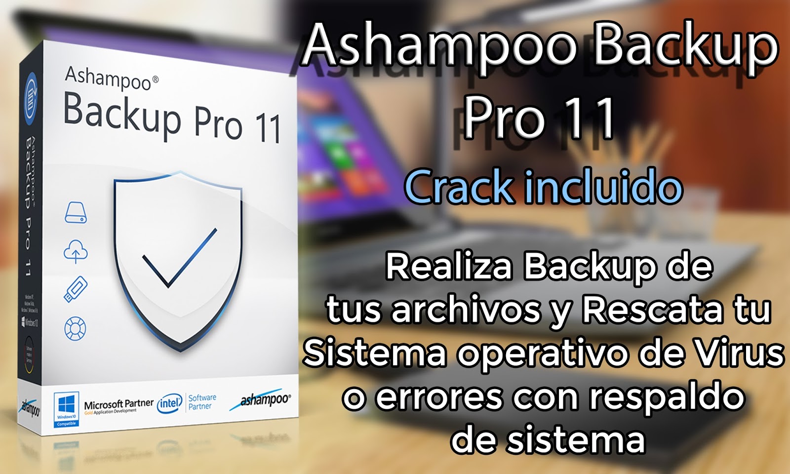 ashampoo backup pro 11 manual