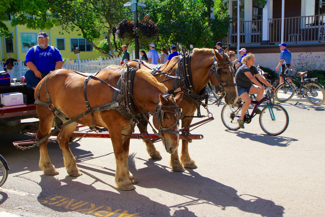 Beneath The Trap Door The Mackinac Island Butterfly House, Michigan
