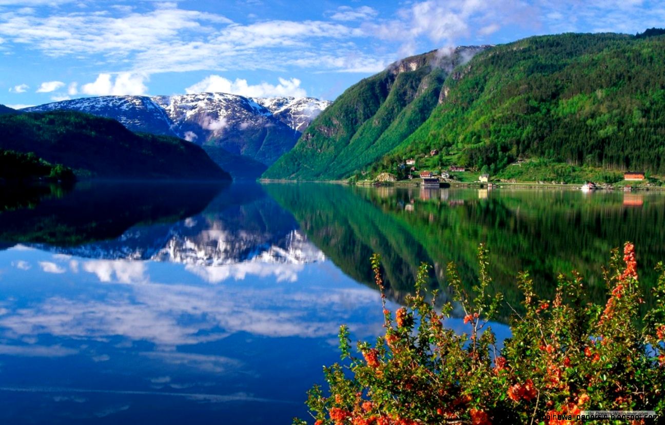 Free Nature Wallpaper 9