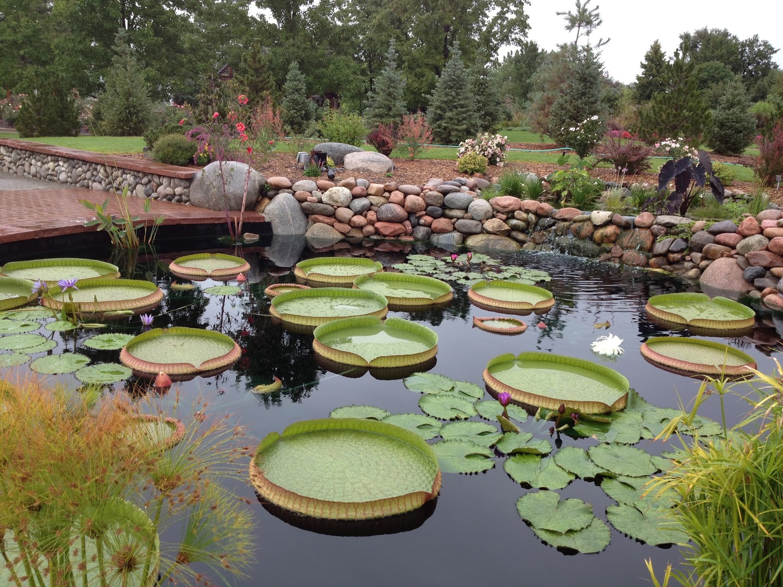 Take A Break Hudson Gardens, Littleton, Colorado