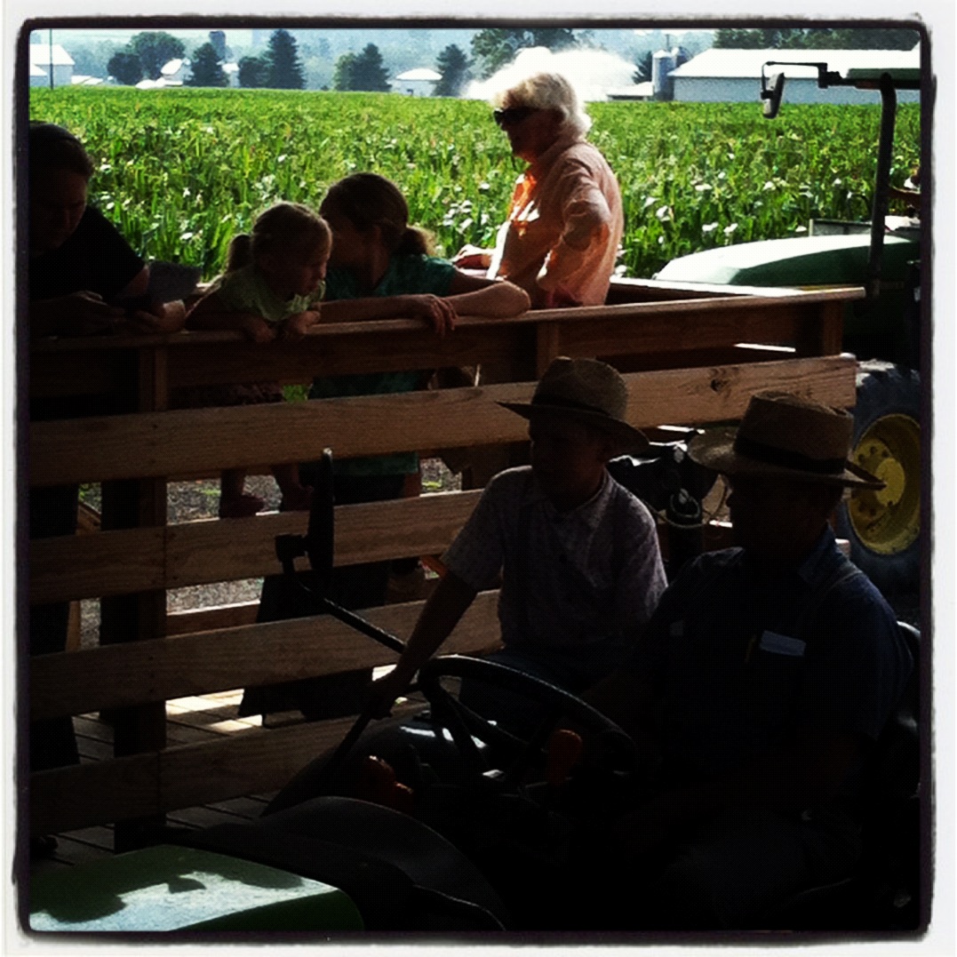 Hawksbill Cabin Big Lots at the Shenandoah Valley Produce Auction