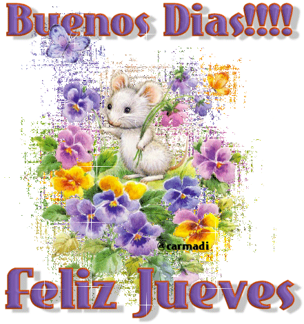 IMÁGENES BONITAS DE FELIZ JUEVES CON MOVIMIENTO