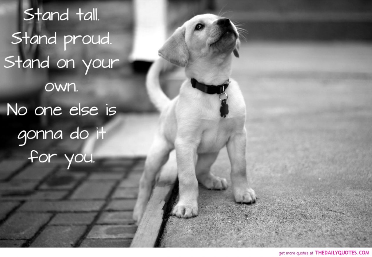 Stand Tall. Stand Proud. Stand On Your Own. No One Else Is Gonna Do It