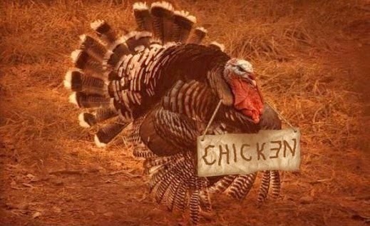 Thanksgiving Turkey Chicken Disguise Sign Joke Picture