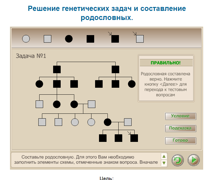 Родословные задачи по генетике пробанд. Биология решение генетических задач и составление родословной. Составить родословную по генетике пример. Составление и анализ родословных. Схема составления родословной.