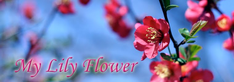 My Lily Flower
