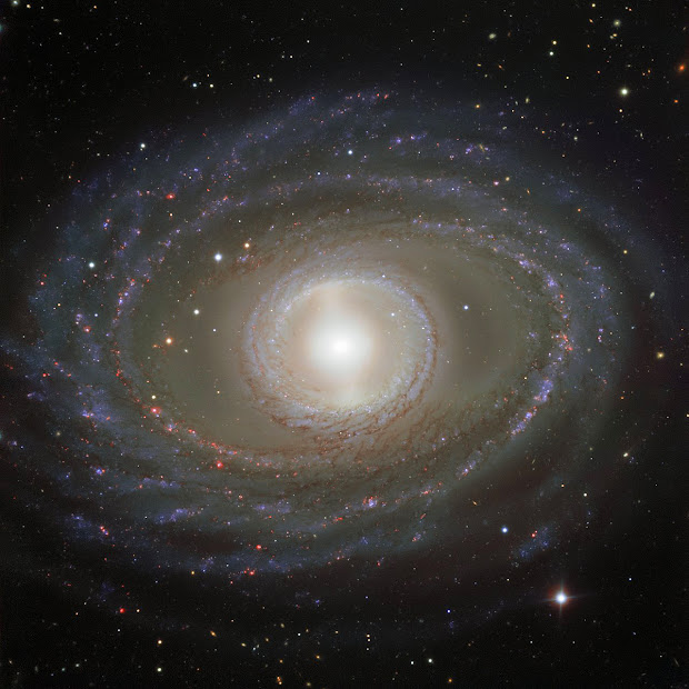 Barred Spiral Galaxy NGC 1398