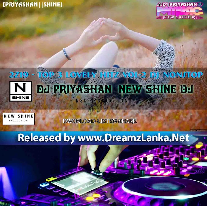 2Z19 - Top 3 Lovely Hitz Vol-2 Dj Nonstop - DJ PriyaShan