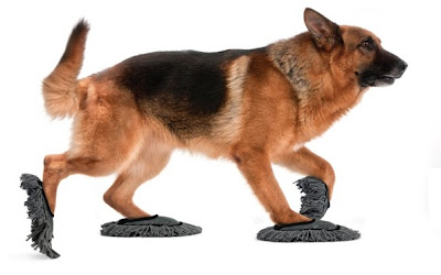 Zapatos Limpiadores para Mascotas | Productos Innovadores MC