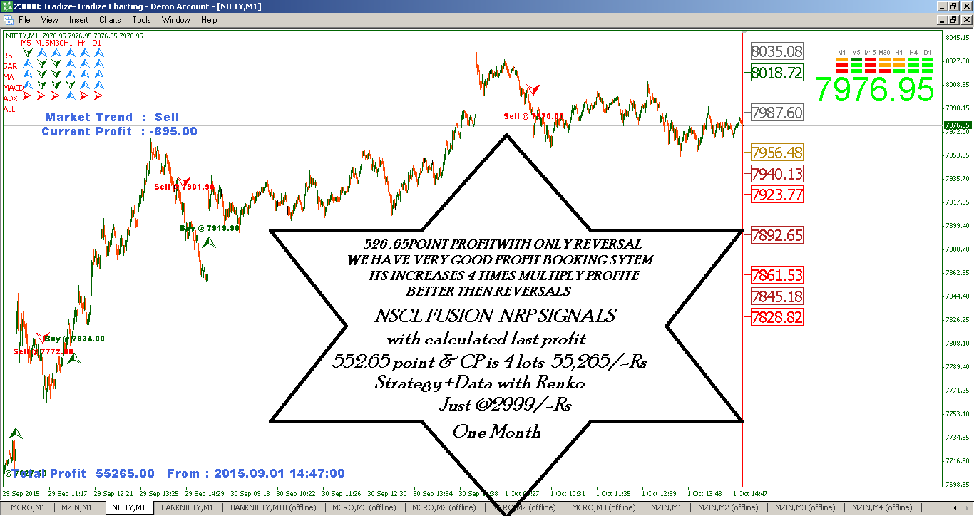 Renko chart trading system and script