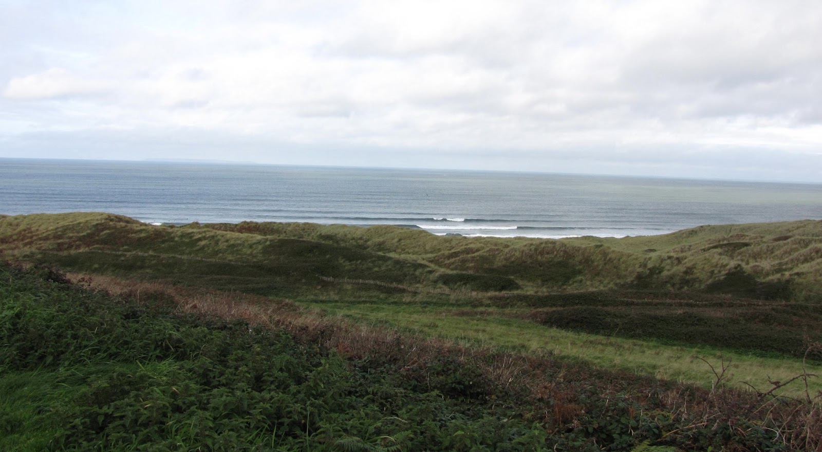 Where's Zebedee? Cali has been back to