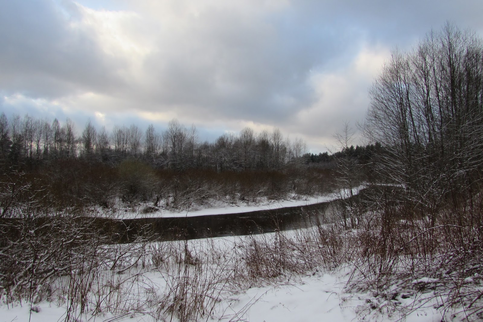 Река череха псковская область