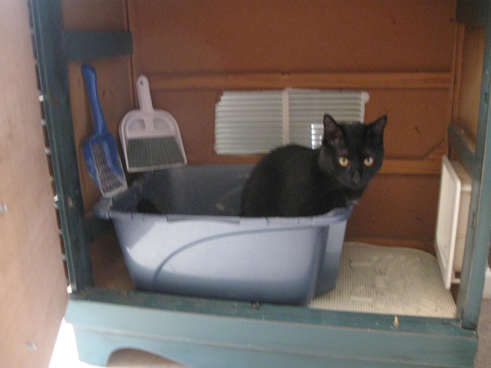 That's Not Junk...Refurbished Recycled Furniture Cat Box Dresser