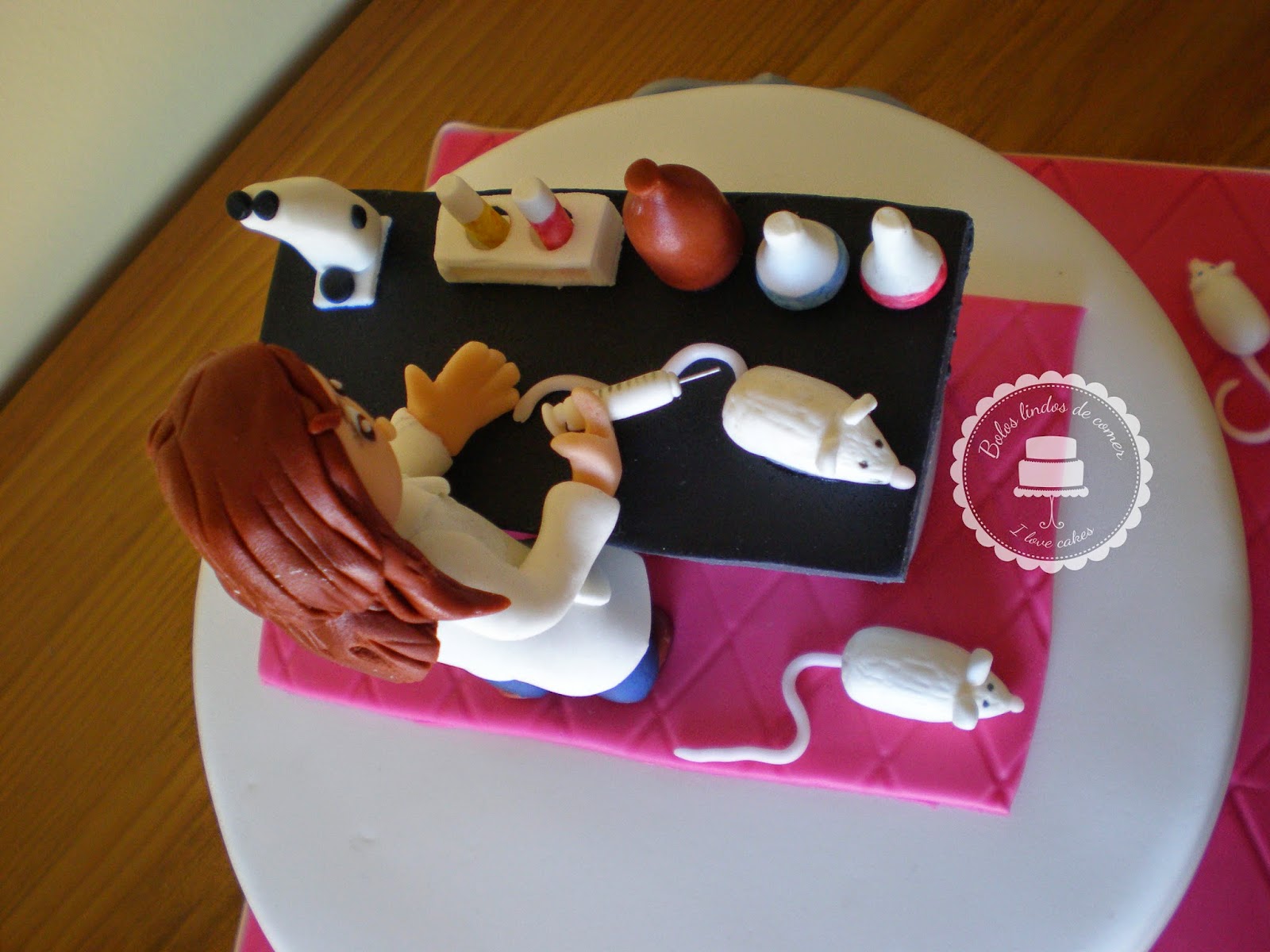Bolos lindos de comer Bolo laboratório / Laboratory cake