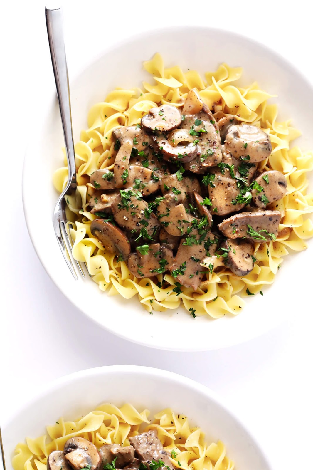 30MINUTE BEEF STROGANOFF RECIPE Health Timers