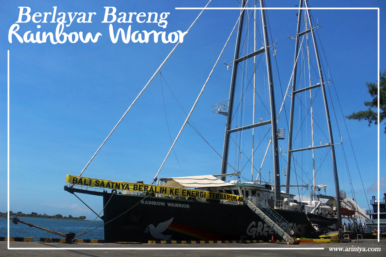 Rasanya Seminggu Berlayar Bareng Greenpeace di Kapal Rainbow Warrior