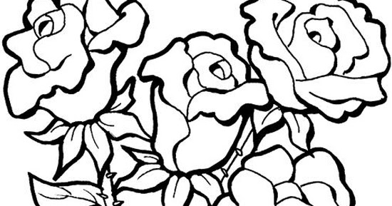 mewarnai bunga mawar