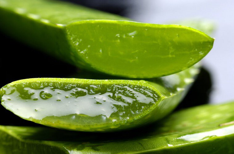 What Aloe Vera Does In Your Body: Why Egyptians Called It The Plant Of Immortality