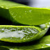 What Aloe Vera Does In Your Body: Why Egyptians Called It The Plant Of Immortality