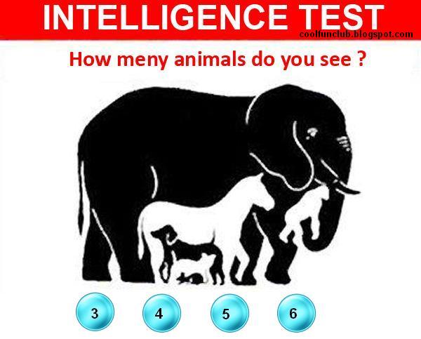 The intelligence test учебник. Test your intelligence. Тест на интеллект. Iq тест скриншоты. Психологическое тестирование лого.