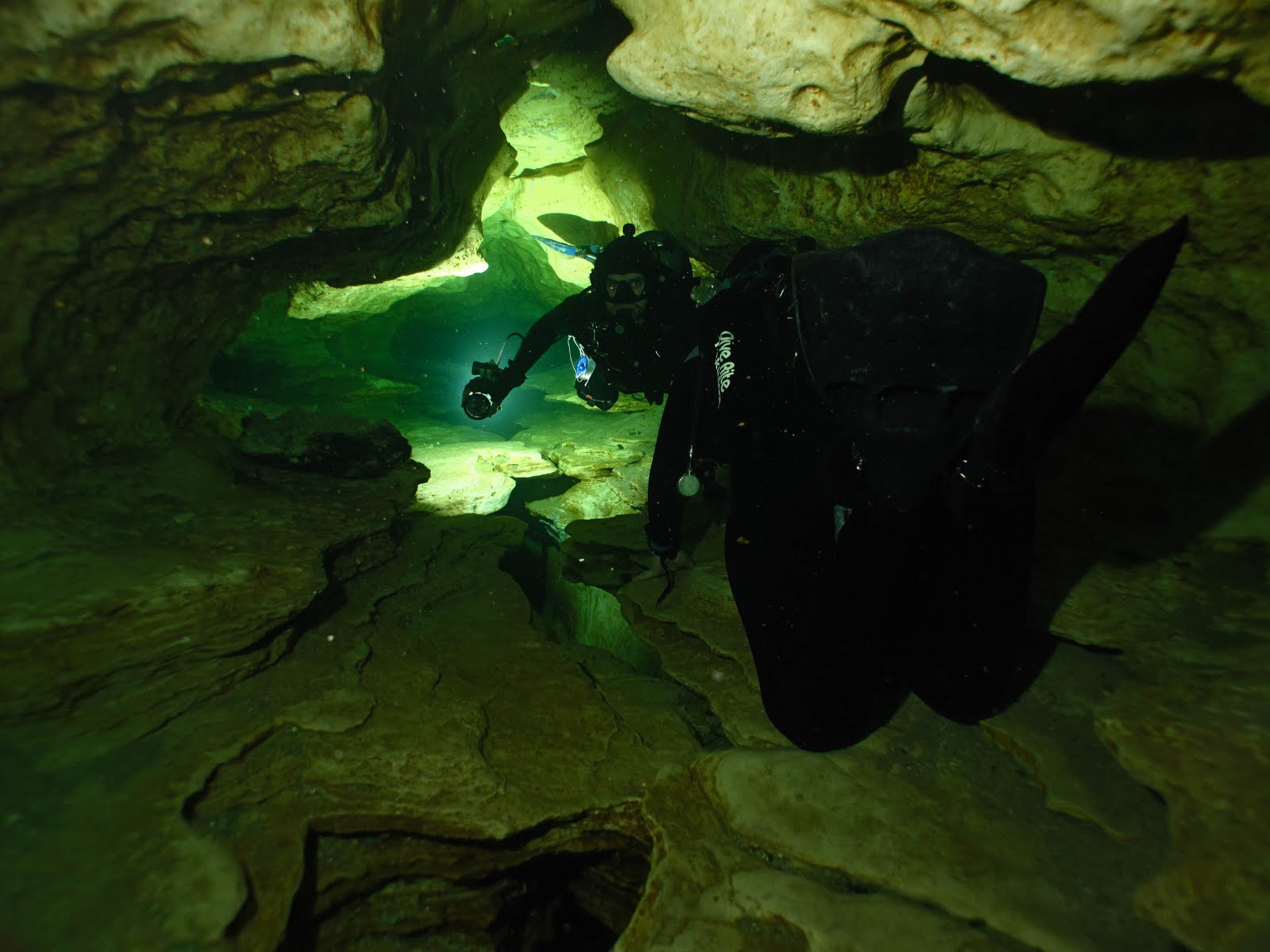 Matt Vinzant 52411 Volusia Blue Springs Dive
