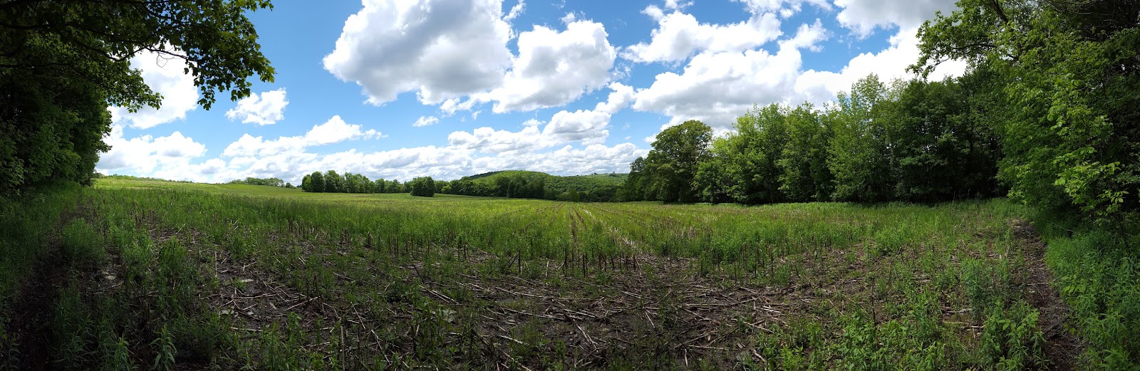Sara Hikes... But Not Enough FLT/NCT Baker School House State Forest