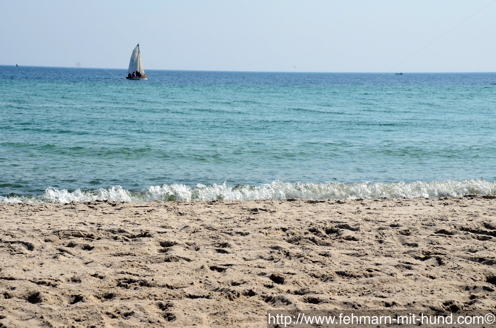 Fehmarn mit Hund Hundestrände auf Fehmarn