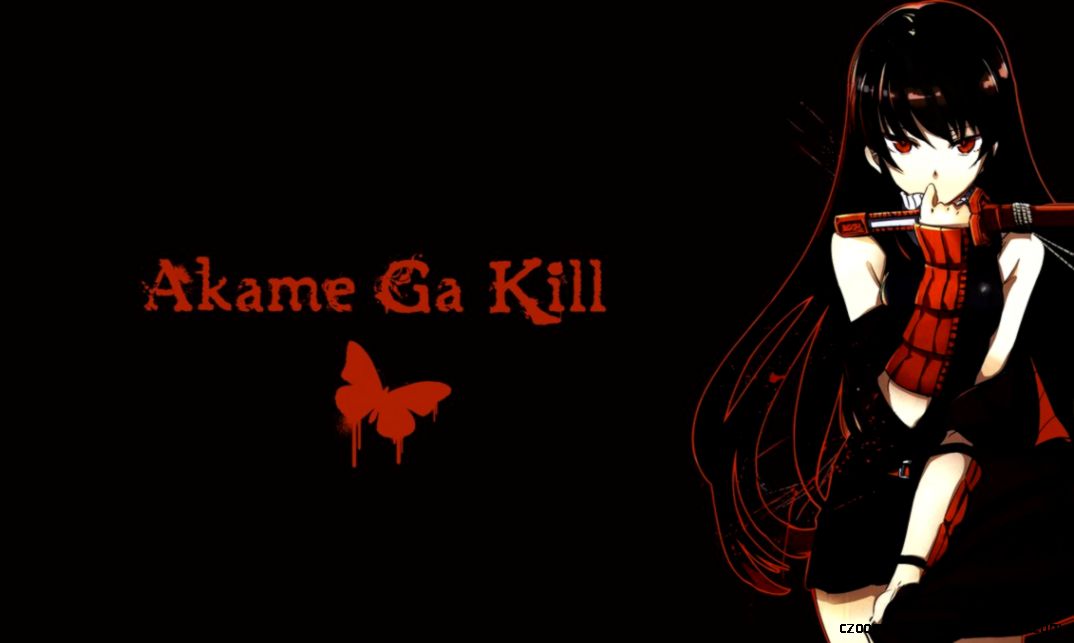 Akame Ga Kill Wallpaper by Ownsin on DeviantArt