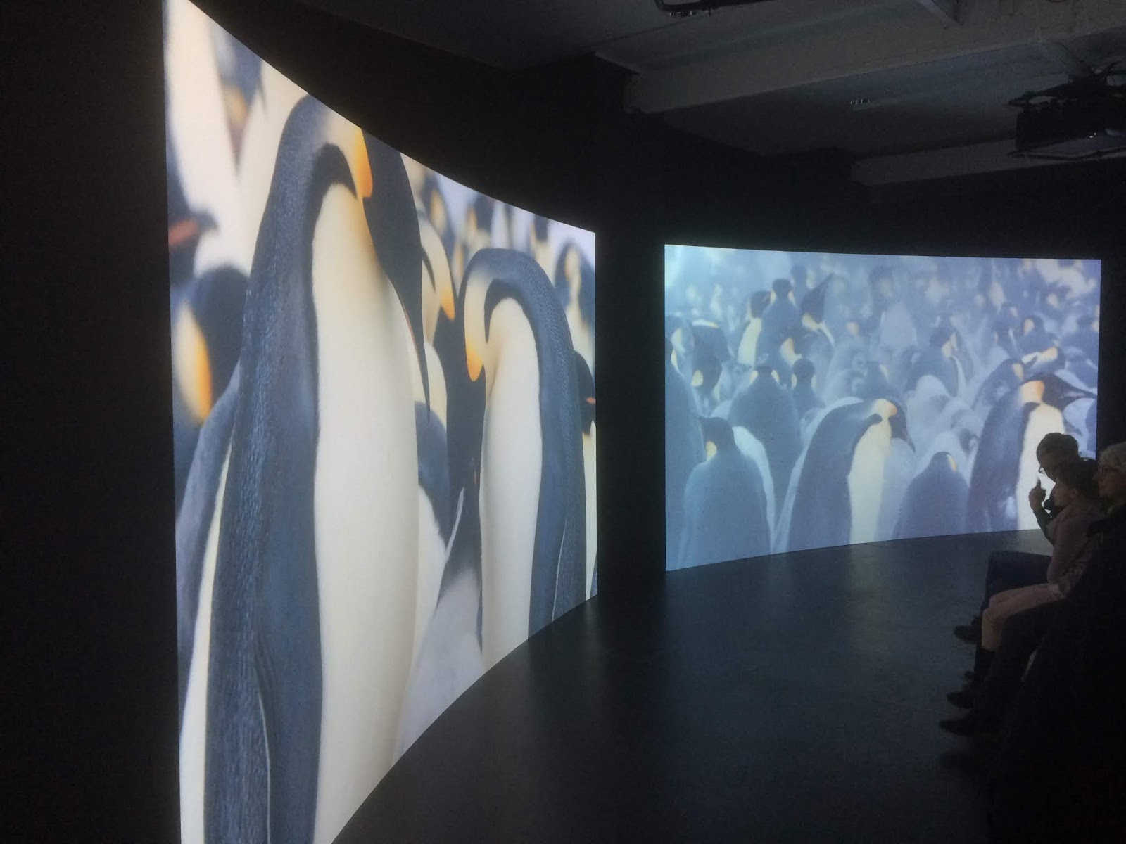 Aus dem Leben eines Entlebucher Sennenhundes 2018