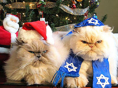 Happy Hanukkah Memes Funny Animal Happy Hanukkah Memes Funny Animal