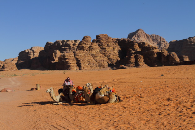 Camel Parking Lot - Wadi Rum, Jordan