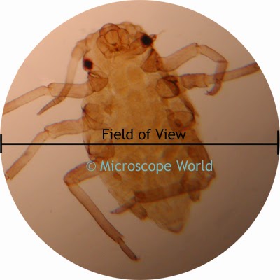 microscope field of view image